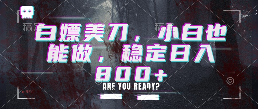 （20163期）白嫖美刀，小白也能做，稳定日入800+-网赚副业网