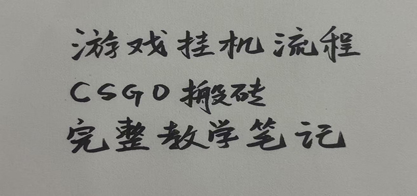 游戏挂机全流程笔记分享，CSGO游戏搬砖，小白看了当天学会见收益-网赚副业网