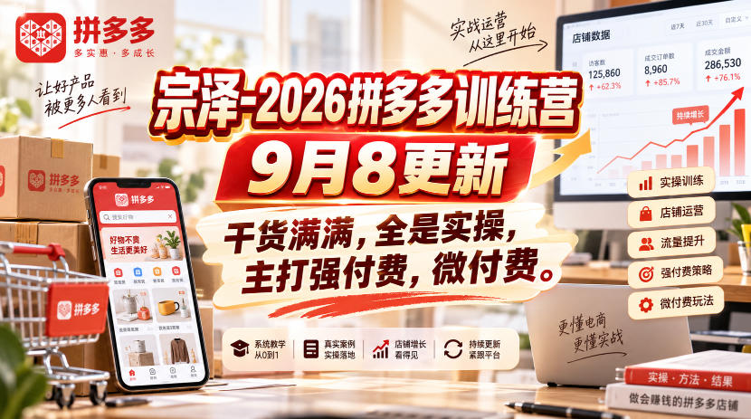 宗泽-2026拼多多训练营9月8更新，干货满满，全是实操，主打强付费，微付费-网赚副业网