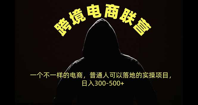 （20702期）跨境电商联营，一个不一样的电商，普通人可操作日入300-500+-网赚副业网
