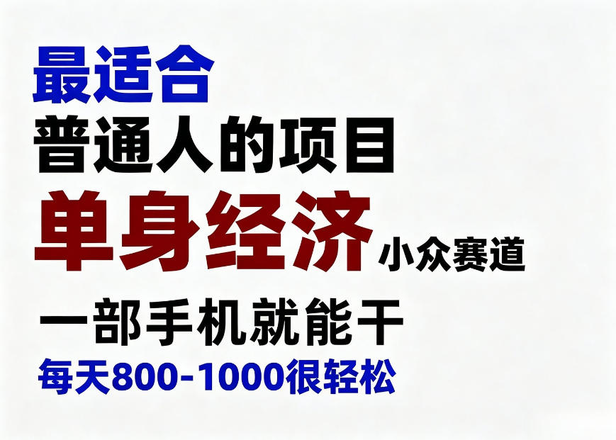 身经济小众赛道,一部手机就能干,每天搞个800-1000很轻松,最适合普通人的项目【揭秘】-网赚副业网