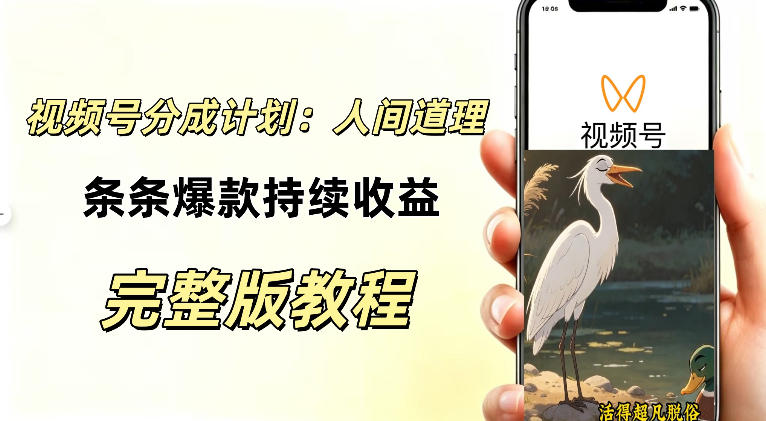 视频号新玩法之AI动漫画风励志视频,不用会画画、不用拍摄,持续化收益,详细拆解-网赚副业网