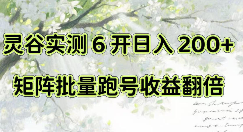 一台电脑就能做!灵谷实测6开日入200+,矩阵批量跑号收益翻倍【揭秘】-网赚副业网
