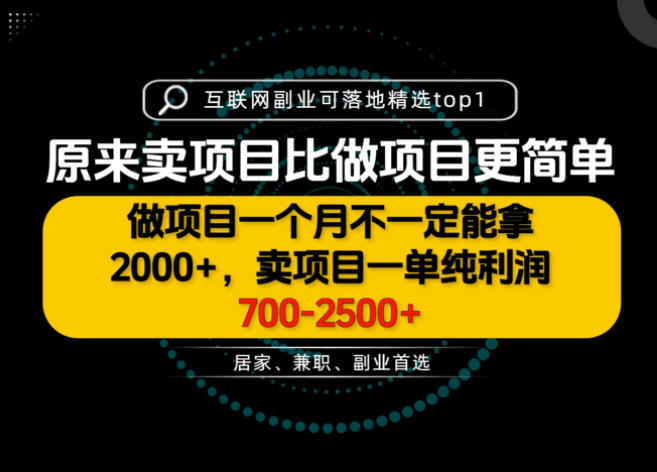 一单利润700-2.5K+,为什么我们要卖项目而不是做项目,我们普通人应该怎样开始?【揭秘】-网赚副业网