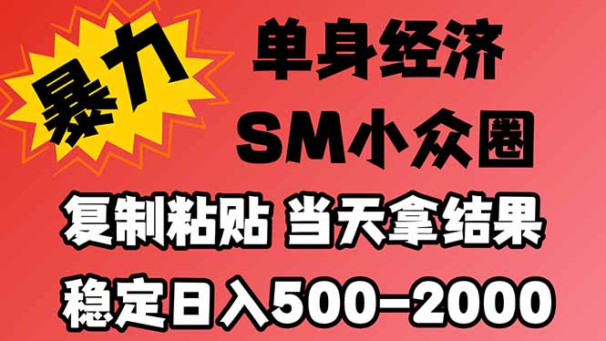 (21205期)26年 最新小众情感赛道,手机操作,十分钟见收益,小白也能当天上手,全程复制粘贴模板即可,稳定日入1k+-网赚副业网