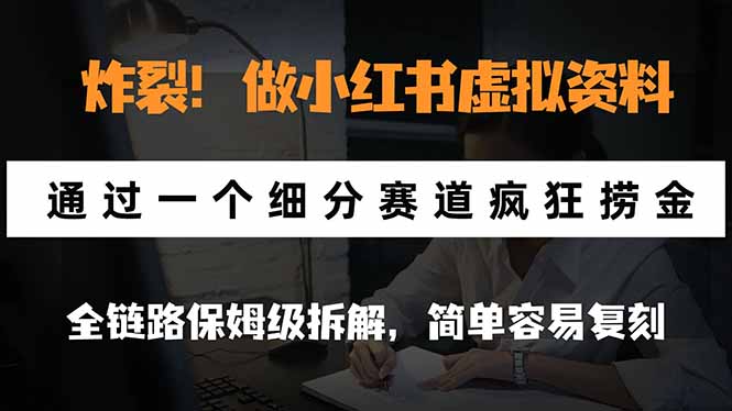 (21206期)炸裂!做小红书虚拟资料,通过一个细分赛道疯狂捞金,全链路保姆级拆解,简单容易复刻-网赚副业网