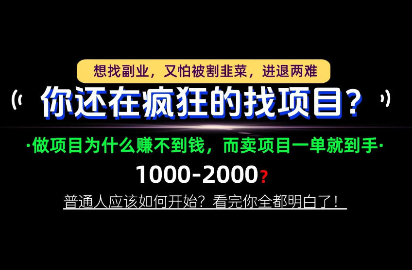 你还在疯狂的找项目?别傻了!卖项目才是真正的一本万利!怎么做,看完你全都明白!【揭秘】-网赚副业网