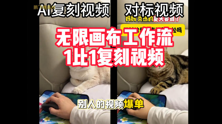 宠物带货视频复刻，无限画布工作流1比1，不用拍摄、不用布景、不用真人出镜，几分钟就能做出一条专业带货视频-网赚副业网