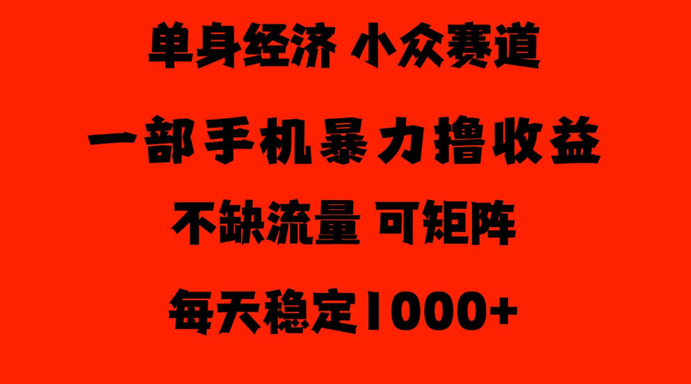 26年暴力单身经济,稳定日入500-1k,不缺流量,流量极大,冷门小众赛道,门槛低小白轻松上手【揭秘】-网赚副业网