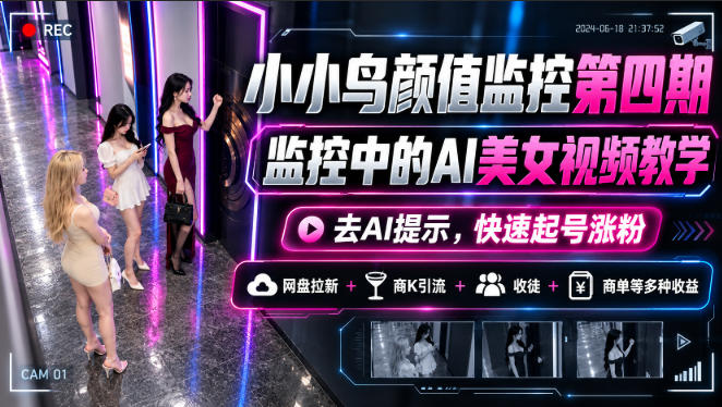 小小鸟颜值监控第四期,监控中的AI美女视频教学,去AI提示,快速起号涨粉,网盘拉新+商K引流+收徒+商单等多种收益-网赚副业网