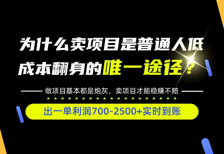 普通人如何靠互联网賺取自己的第一桶金！全类目实操型教学，看完你全都懂了！【揭秘】-网赚副业网