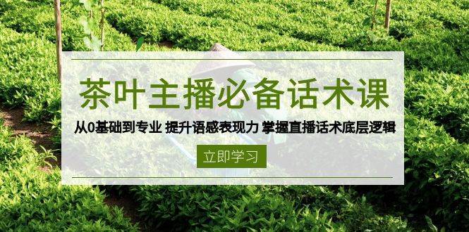 茶叶主播必备话术课 从0基础到专业 提升语感表现力 掌握直播话术底层逻辑-网赚副业网