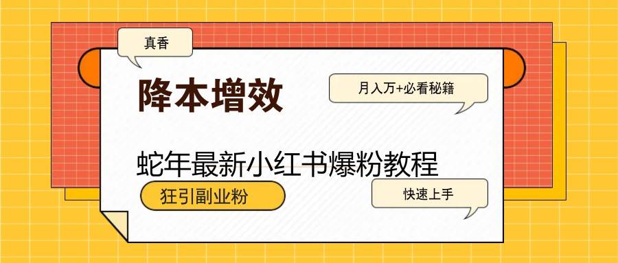蛇年最新小红书爆粉教程,狂引副业粉,月入万+必看-网赚副业网