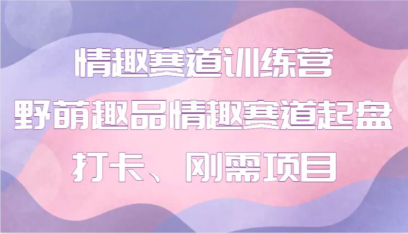 情趣赛道训练营 野萌趣品情趣赛道起盘打卡、刚需项目-网赚副业网