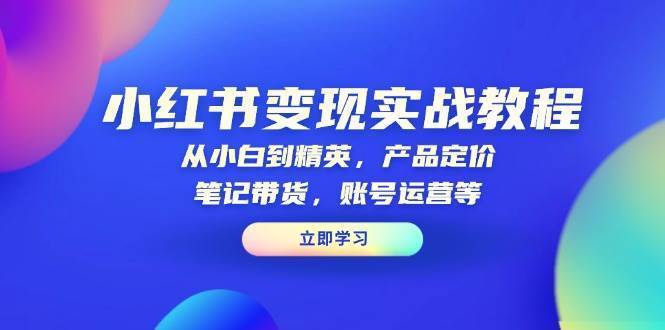 小红书变现实战教程:从小白到精英,产品定价,笔记带货,账号运营等-网赚副业网