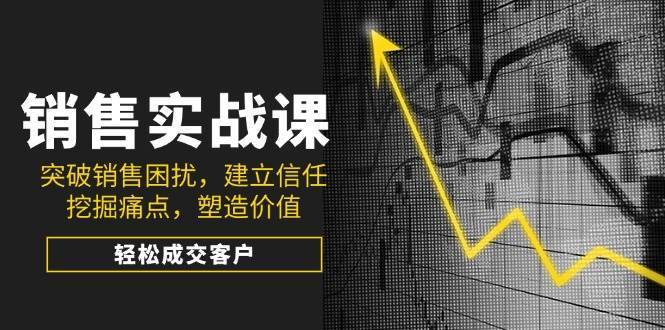 销售实战课,突破销售困扰,建立信任,挖掘痛点,塑造价值,轻松成交客户-网赚副业网