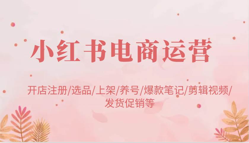 小红书电商运营:开店注册/选品/上架/养号/爆款笔记/剪辑视频/发货促销等-网赚副业网