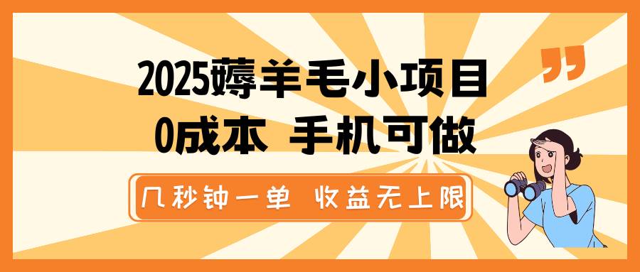 2025薅羊毛小项目，0成本 手机可做，几秒钟一单，收益无上限-网赚副业网