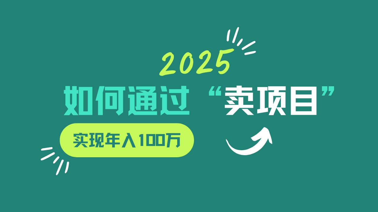 2025年如何通过“卖项目”实现年入100w-网赚副业网