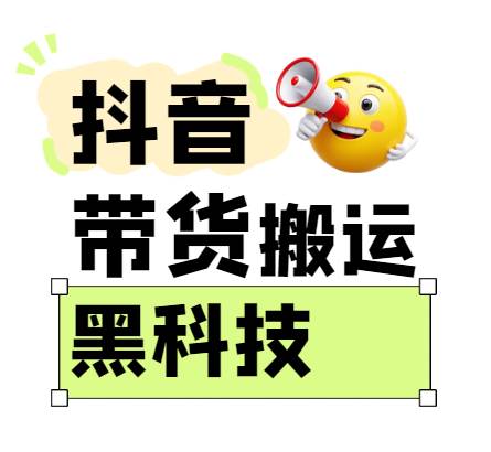 299买来抖音带货搬运技术,苹果安卓都可以,两分钟一个视频,不会封号!-网赚副业网