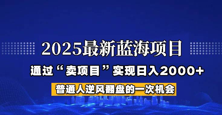 2025年蓝海项目,如何通过“网创项目”日入2000+-网赚副业网