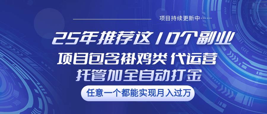 25年推荐这10个副业 项目包含褂鸡类、代运营托管类、全自动打金类-网赚副业网