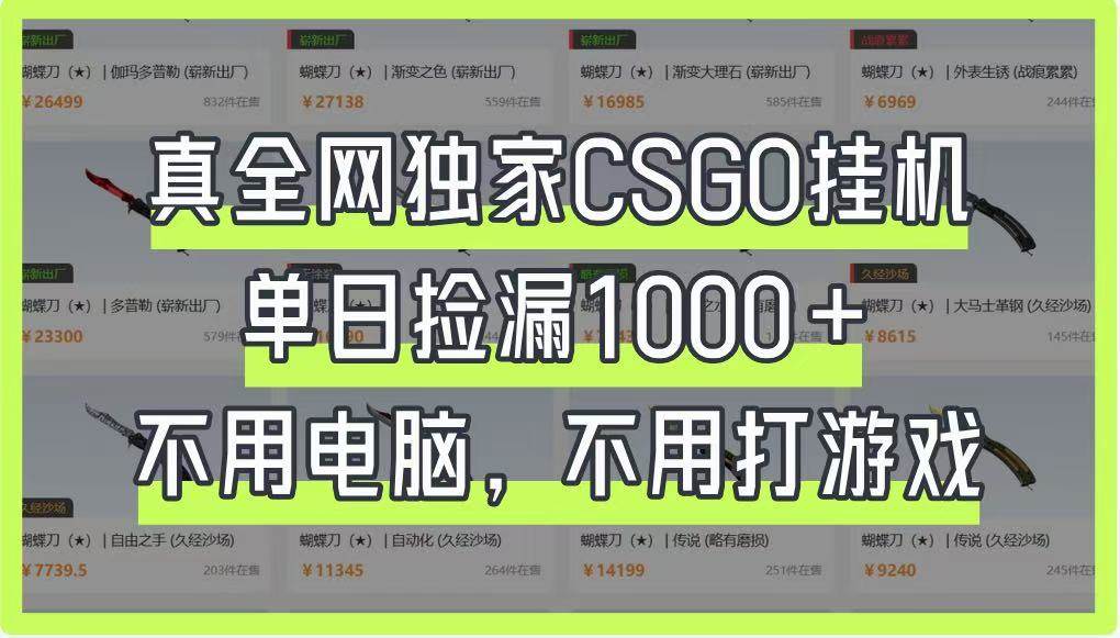 真全网独家CSGO挂机,单日捡漏1000+,不用电脑,不用养号-网赚副业网