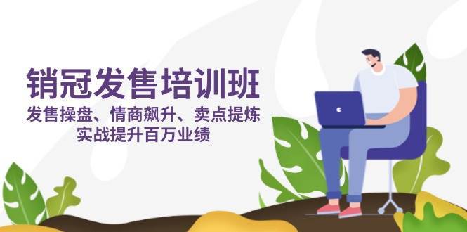销冠发售培训班:发售 操盘+情商 飙升+卖点 提炼,实战提升百万业绩-网赚副业网