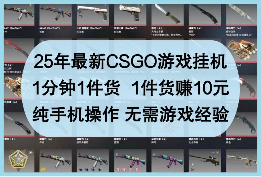 25年最新CSGO游戏挂机,1分钟1件货,1件货赚10元,纯手机操作,无需游戏经验-网赚副业网