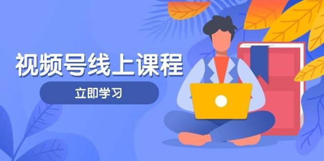 视频号实战课程,轻IP打造与运营技巧,掌握核心方法与策略-网赚副业网