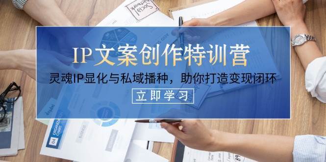IP文案创作特训营,灵魂IP显化与私域播种,助你打造变现闭环(14节课)-网赚副业网