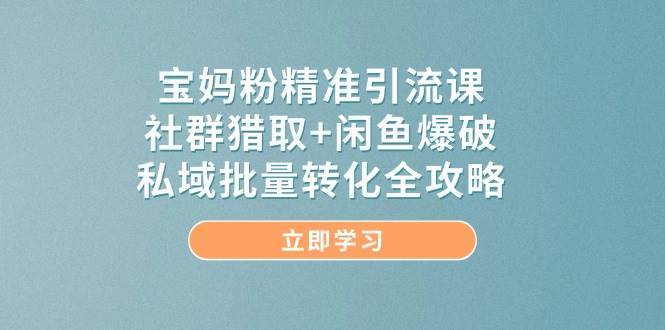 宝妈粉精准引流课,社群猎取+闲鱼爆破,私域批量转化全攻略-网赚副业网