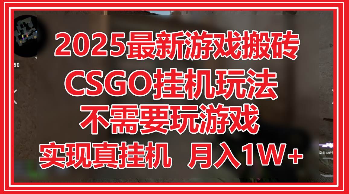2025最新游戏搬砖,CSGO挂机,不需要玩游戏,实现真挂机,月入1W+-网赚副业网