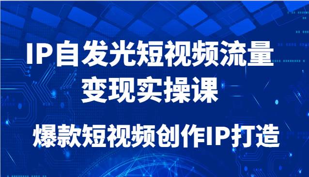 IP自发光短视频流量变现实操课,爆款短视频创作IP打造-网赚副业网