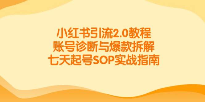 小红书引流2.0教程,账号诊断与爆款拆解,七天起号SOP实战指南-网赚副业网