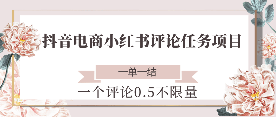 抖音电商小红书评论任务项目，一个评论0.5，一单一结 不限量-网赚副业网