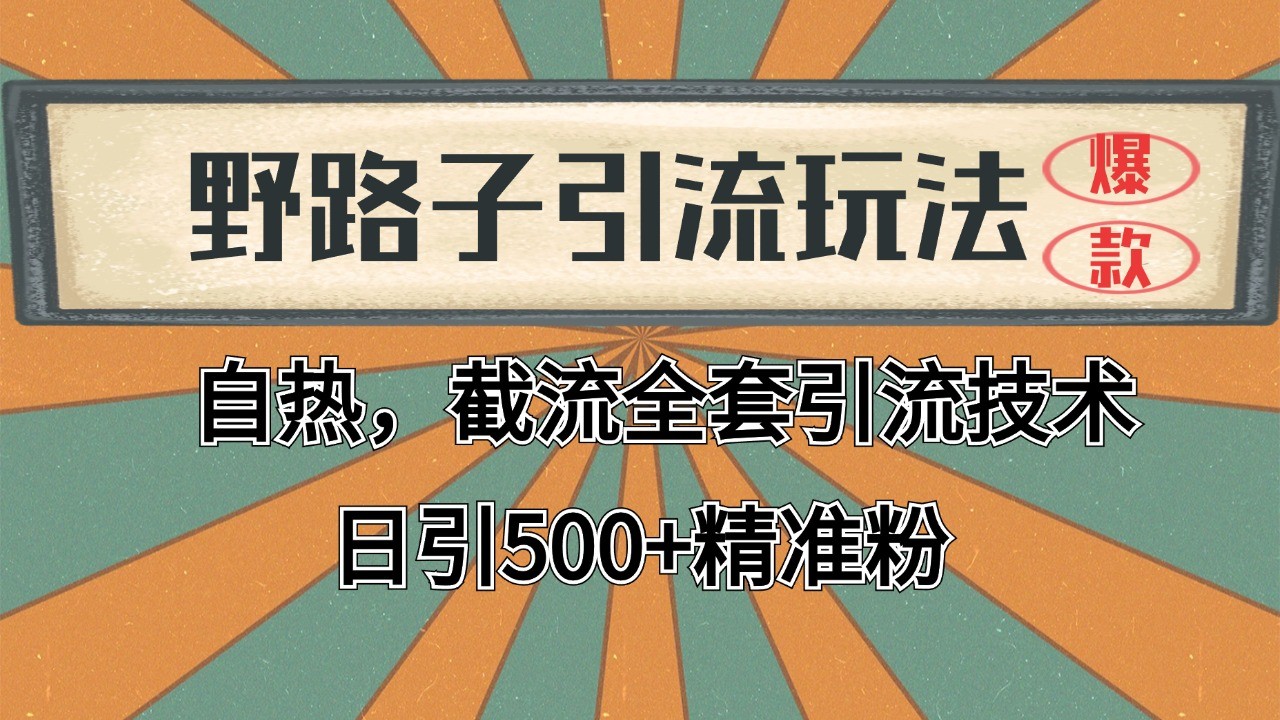 2024首发野路子引流玩法截流自热全平台打法,全自动引流【日引2000+精准客户】-网赚副业网