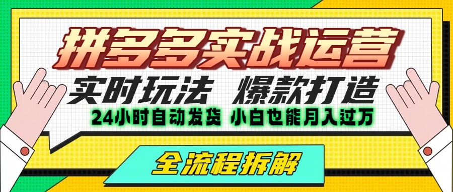 拼多多最新实战运营高投产:长久稳定项目,单店利润一天三位数-网赚副业网