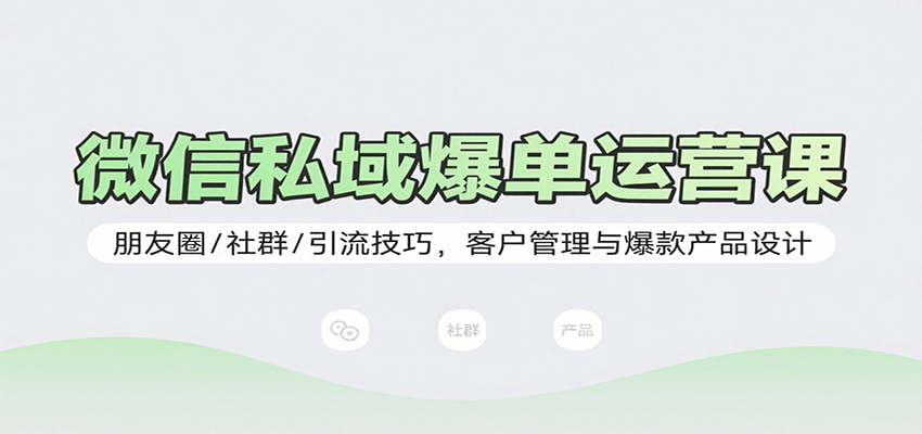 微信私域爆单运营课:朋友圈/社群/引流技巧,客户管理与爆款产品设计-网赚副业网
