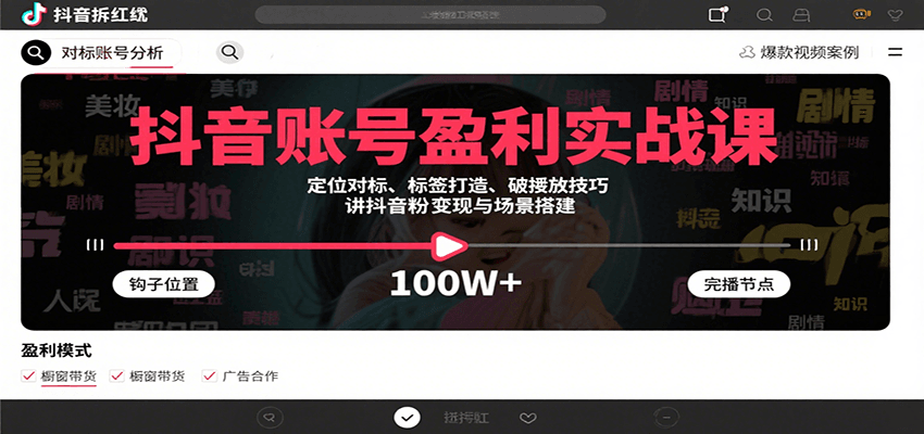 抖音账号盈利实战课，定位对标、标签打造、破播放技巧，讲涨粉变现与场景搭建-网赚副业网