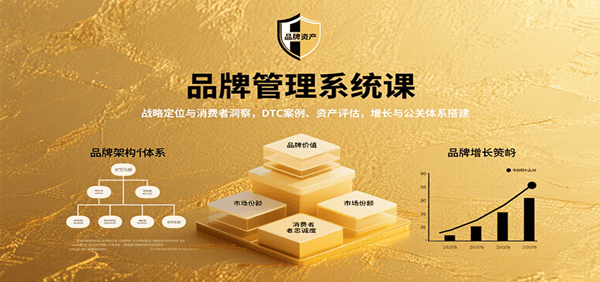 品牌管理系统课:战略定位与消费者洞察,DTC案例、资产评估,增长与公关体系搭建-网赚副业网