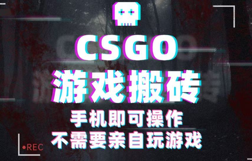 CSGO游戏挂机捡漏,单日扫货500+,年底小高峰上车可吃肉,手机即可操作兼职副业-网赚副业网