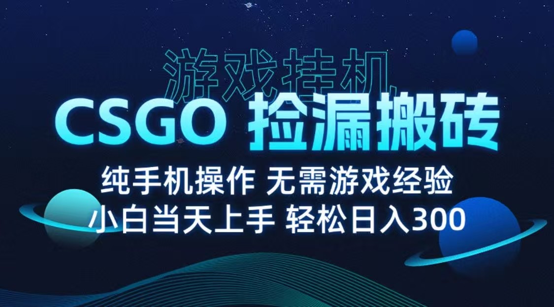 9月最新游戏搬砖,CSGO纯挂机,不需要玩游戏,实现真挂机,月入1W+-网赚副业网