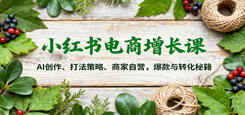 小红书电商增长课：AI创作、打法策略、商家自营，爆款与转化秘籍-网赚副业网
