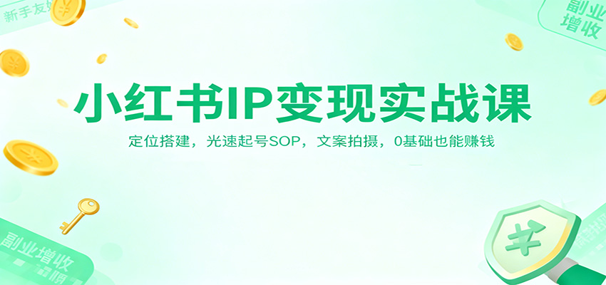 小红书IP变现实战课:定位搭建,光速起号SOP,文案拍摄,0基础也能赚钱-网赚副业网