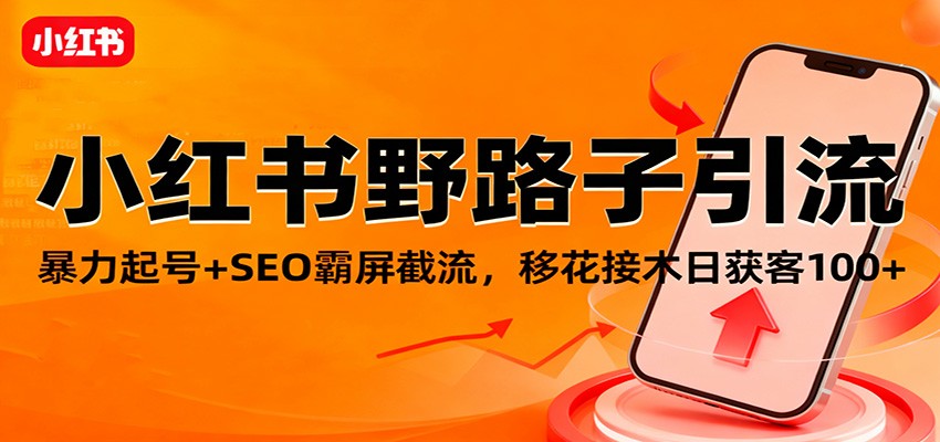 小红书野路子引流,暴力起号+SEO霸屏截流,移花接木日获客100+-网赚副业网