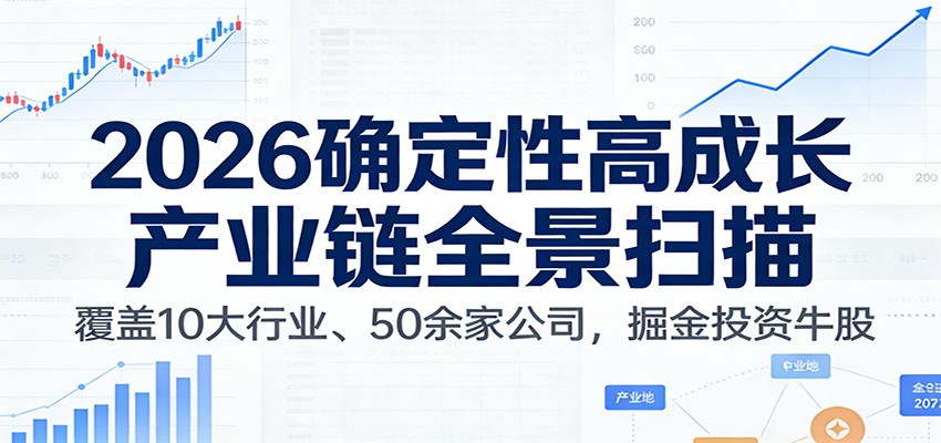 付费文章:2026确定性高成长产业链全景扫描:覆盖10大行业、50余家公司,掘金投资牛股-网赚副业网