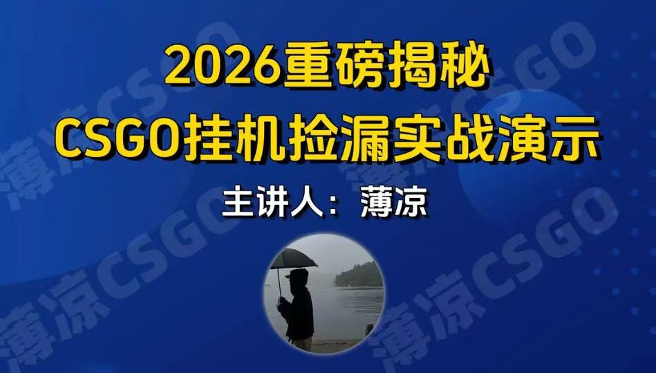 CSGO游戏挂机游戏搬砖最新升级,普通小白一部手机可日入300+当天见结果,支持验证-网赚副业网