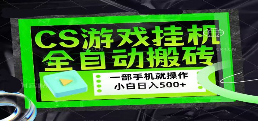 CSGO游戏挂机捡漏搬砖,超稳定的项目,带领1000+小白实现日入500+-网赚副业网