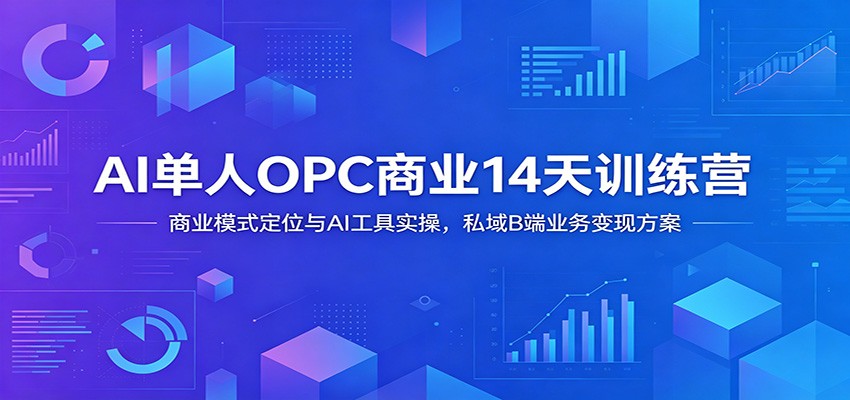 AI单人OPC商业14天训练营:商业模式定位与AI工具实操,私域B端业务变现方案-网赚副业网
